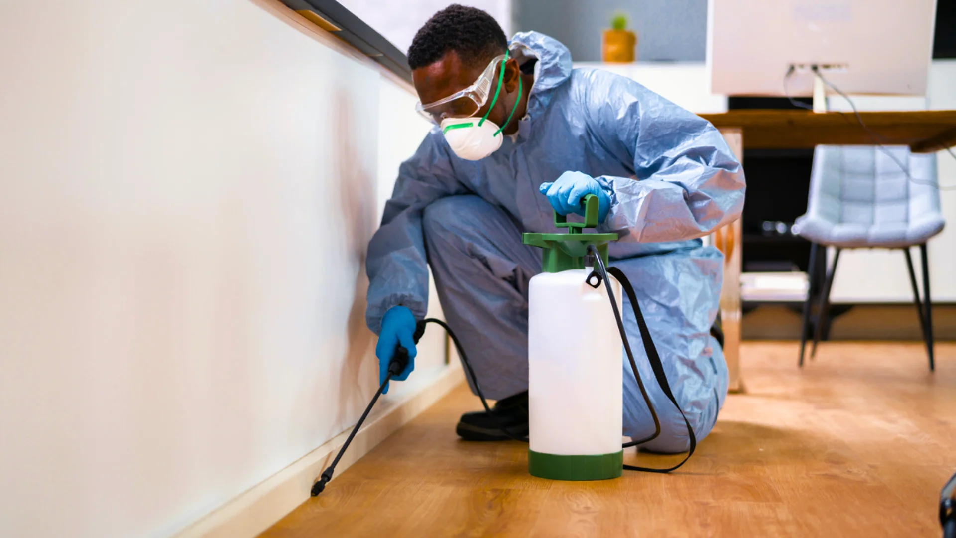 How a Fumigation Service Works
